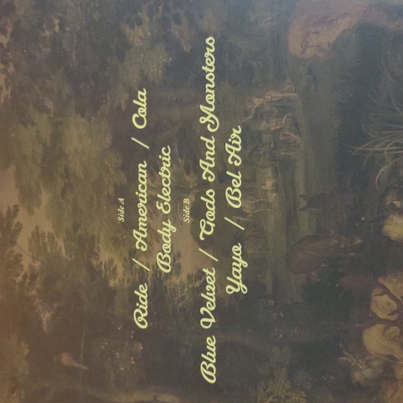 Lana Del Rey Vinyl LP Record - Picture 4 of 7